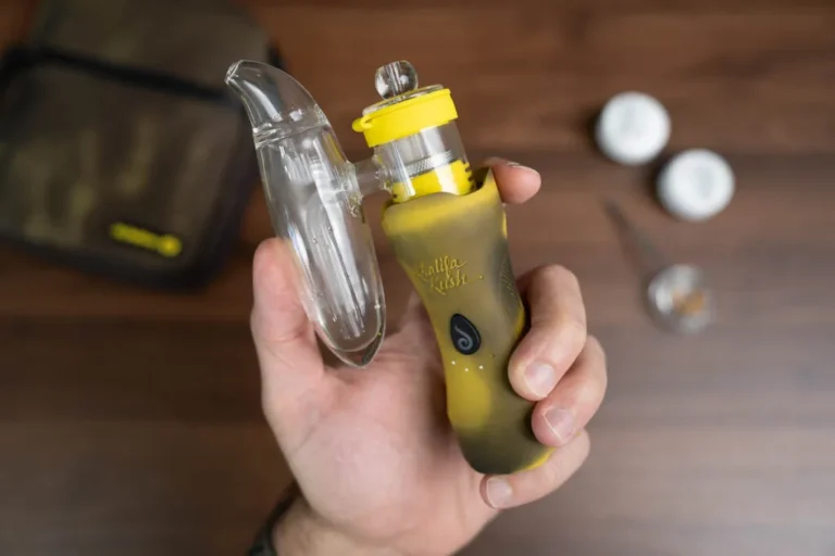 Dr.Dabber XS Dab Rig Review