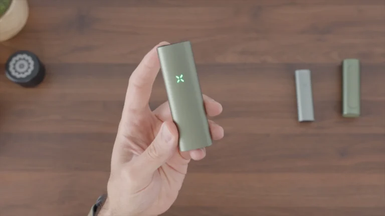 Pax Mini Review